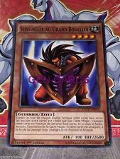 Carte YU GI OH SENTINELLE AU GRAND BOUCLIER YGLD-FRB14 x 3