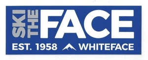 WHITEFACE SKI THE FACE LAKE PLACID NEW YORK MOUNTAIN AREA RESORT AUFKLEBER DECAL - Bild 1 von 1