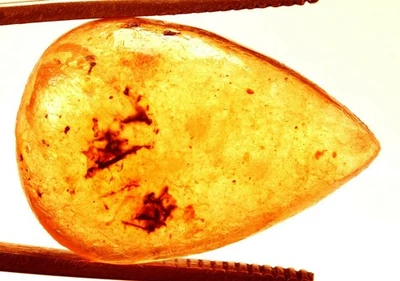 21.40 Cts. Natural Genuine Old Baltic Amber Untreated Certified Gemstone - Image 1 of 4