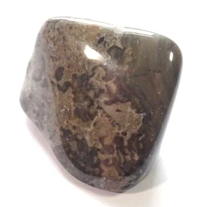 COTHAM MARMOR TROMMELSTEIN - 2,3 x 2,2 cm 10,89 gms #22 - Stromatolithe UK - Bild 1 von 4