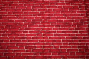 BRIGHT RED BRICK WALL AND SHOPS BUNDLE BY JOAN KESSLER - 100% COTTON FABRIC - Picture 1 of 9