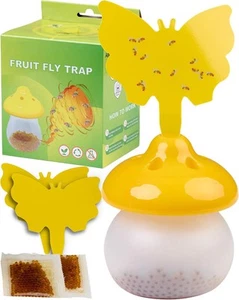 Fruit Fly Trap - for Indoor, Flying Insect Traps, Gnat Trap,... - Picture 1 of 7