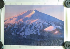 Bruce Jackson 1989 Pine Marten Mt Bachel OR Hand Signed Poster Print Landscape - Picture 1 of 8