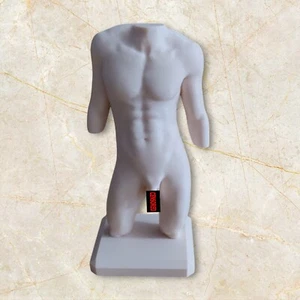 Male Nude Torso Statue - 3D Printed Art - Picture 1 of 6
