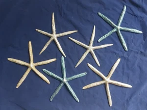 6 Starfish ~ Wall Hanging Ocean Nautical Beach Home Glitter Decor 10" - Imagen 1 de 10