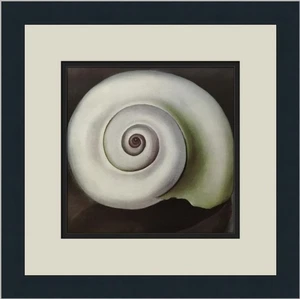 Georgia O'Keeffe Shell I Custom Framed Print - Picture 1 of 2
