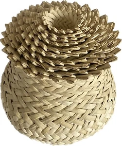 Nesting Tarahumara Indian Sotol Single Weave 10 Baskets Mexico Tall 10” X6” - Picture 1 of 9