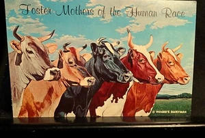 Postcard Foster Mothers of Human Race Hoard's Dairyman 5 Queens 1961 PET RESCUE - Picture 1 of 2