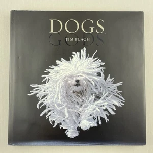 Tim Flach Dogs Gods Hardcover Coffee Table Book ~ ISBN 9780810997646 - Picture 1 of 17