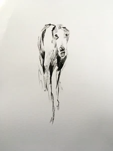 Original signed Ink Drawing Painting sketch of a Greyhound Lurcher A3 - Picture 1 of 6