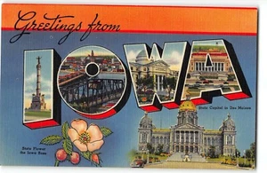 IOWA State Großbrief Leinen Postkarte, um 1940 - Tichnor, Staatsblume Iowa Rose - Bild 1 von 2