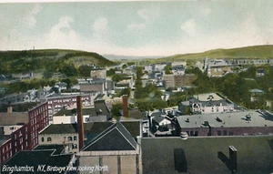 BINGHAMTON, N.Y., BIRDSEYE VIEW LOOKING NORTH. BUILDINGS. CHURCH. APARTMENTS. - Picture 1 of 2