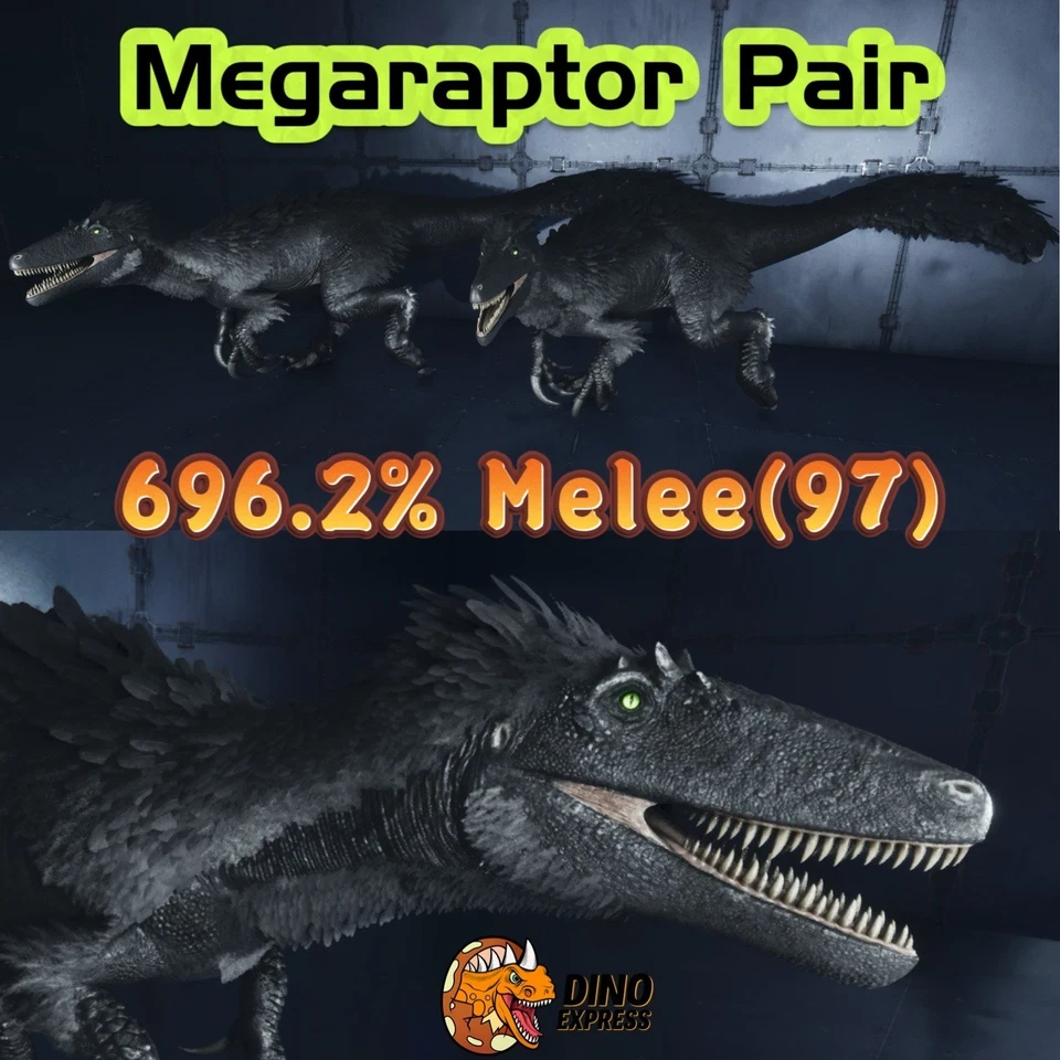 Megaraptor Pair 696.2% BlackPair Clone ARK🦕Survival Ascended ASA PVE PC/XBOX/PS