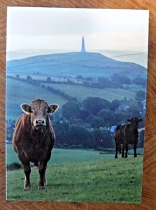 Tarjeta de felicitación en blanco Monumento a Hoad de Vacas Miradas a Hoad Ulverston cumpleaños Navidad - Imagen 1 de 3