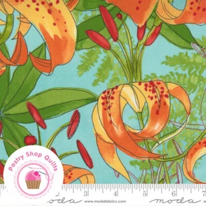 Tela de edredón Moda CAROLINA LILIES 48700 19 azul agua floral ROBIN PICKENS - Imagen 1 de 5