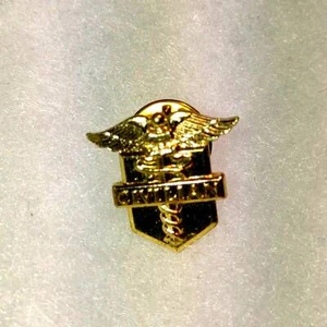 Civilian Gold Military pin? - Picture 1 of 1