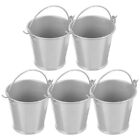  5 Pcs Ice Buckets for Parties French Fries Tin Mini Flower Pot Utensils