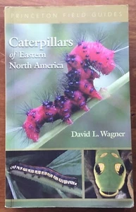 Fine 2005 SC Caterpillars Eastern US Butterflies Moths Field Guide David Wagner - Picture 1 of 12