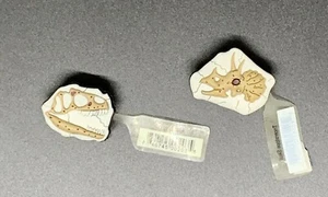 DINOSAUR JIBBITZ SHOE CHARM FIT CROCS T-REX Scull Triceratops Skull JIBBITZ Rare - Picture 1 of 3