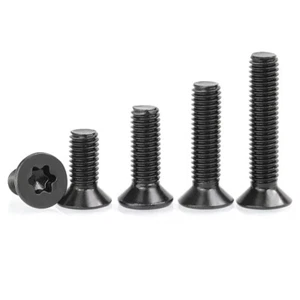 Tornillos antirrobo M5 M6 Torx Cabeza Contrahundida Tornillos Acero Inoxidable Negro - Imagen 1 de 2
