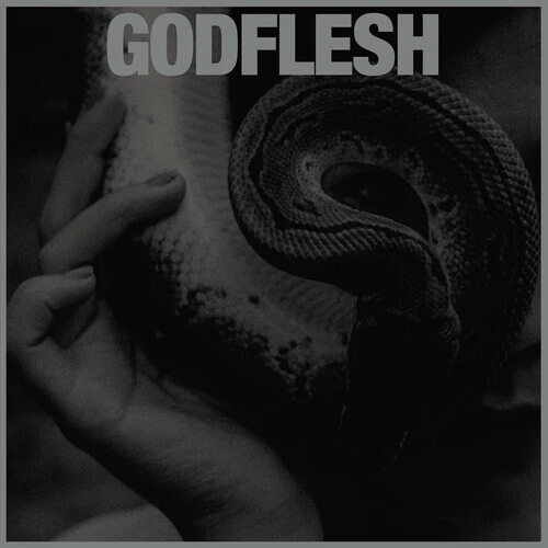 Purge by Godflesh (Record, 2023)