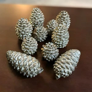 "Lote de 10 placas de plata Department 56 pesadas retiradas 2,5""-4""" - Imagen 1 de 12