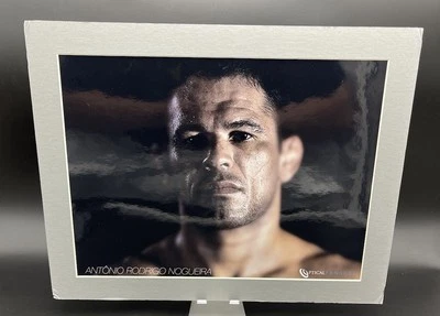 Antonio Rodrigo Nogueira 16" x 12,5" Mate Brillante Foto Óptica Panacea UFC MMA Foto 1 de 4