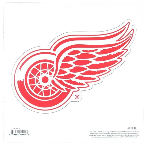Detroit Red Wings 8" Magnet Outdoor Rated Vinyl Auto Fridge NHL Hockey Fan Team Cover