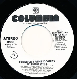 TERENCE TRENT D'ARBY - WISHING WELL - COLUMBIA 38-07675 - 45 Record VG+ - Imagen 1 de 2