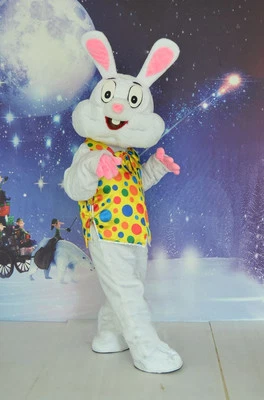 Disfraz de Conejo de Pascua Mascota Conejo Dibujos Animados Juegos con disfraces Fiesta Vestido Elegante Traje  Foto 1 de 4