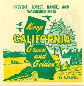 VINTAGE CALIFORNIA SMOKEY BEAR ORIGINAL 1950s FIRE GREEN & GOLDEN DECAL LABEL - Picture 1 of 2