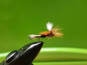 1 Dutzend - Royal Wulff Fallschirm - Trockenfliege - Forelle - Bild 1 von 1