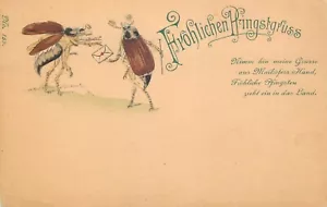 Insetti coleottero Pentecoste umanizzati molto goffrati saluti fantasia 1900 Germania - Foto 1 di 2