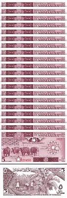 Somalia 5 Shillings 1987, UNC, 20 Pcs LOT, Consecutive, P-31c, Buffalo - Image 1 of 4