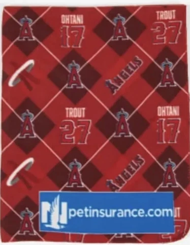 4/25/23 MIKE TROUT & SHOHEI OHTANI SGA BLANKET LA ANGELS Cover