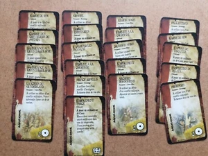 21 x CARTES ROYAUME AQUILONIE EN FRANCAIS AGE OF CONAN BOARDGAME M162 - Imagen 1 de 1