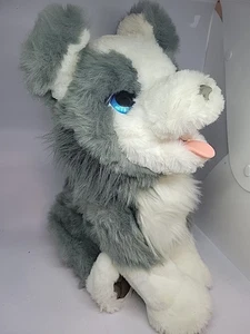 FurReal Friends Ricky the Trick-Lovin’ Puppy - FUNKTIONIERT SUPER BATTERIEN ENTHALTEN - Bild 1 von 10