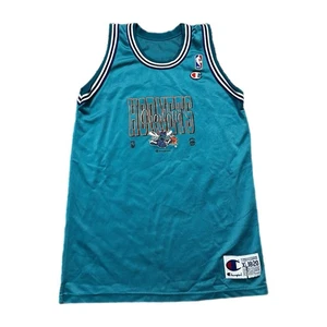 Champion × Charlotte Hornets Alonzo Mourning Vintage Jersey. Kids size 18-20 - Picture 1 of 5