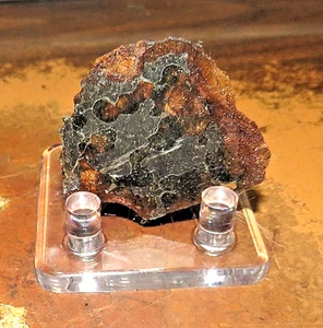 54 gm SERICHO pallasite Meteorite end piece   Kenya  olivine  JAL STAND - Picture 1 of 4