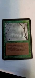 Alpha Fog Moderate Play + - Picture 1 of 2