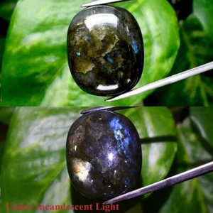 Big! 43.88ct Cushion Cabochon Natural Rainbow With Luster Labradorite Gemstone - Picture 1 of 6