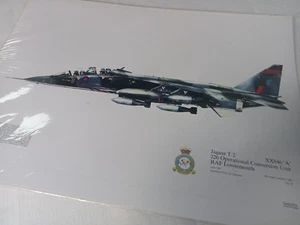Unidad de conversión operativa Jaguar T.2 Xx846 'A' 226 RAF Lossiemouth impresión A3 - Imagen 1 de 6