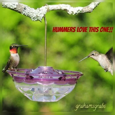 Alimentador ciruela ASPECTS 434 HUMMZINGER HUMMBLOSSOM CUTEST COLIBRÍ 4 OZ HECHO EN EE. UU. Foto 1 de 4