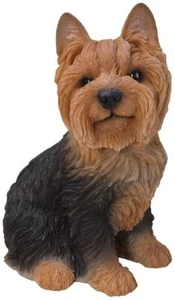 Vivid Arts Yorkshire Terrier B - Picture 1 of 1
