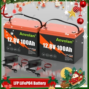 2X100Ah 12V LiFePO4 Lithium Batterie Akku 15000Zyklen fürBoot Wohnmobi+Ladegerät - Bild 1 von 23