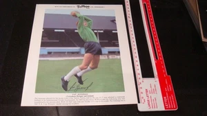 Football PAT JENNINGS SPURS & IRELAND  portrait 10" x 8" Typhoo Tea Card,  VG - Picture 1 of 2