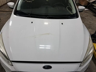 2015 Ford Focus Hood Panel - Used, Repainted, Local Pick Up Only, 4DR SED WHT Foto 1 de 4