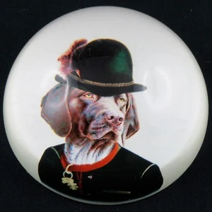 SULFURE Surréaliste "Chien/Homme" France Plexi curiosité/presse papier/dali... - Imagen 1 de 7