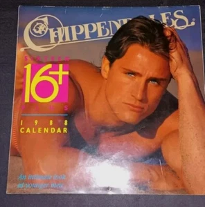 Calendario da parete vintage CHIPPENDALES 1988 16 MESI foto autentiche sexy - Foto 1 di 6