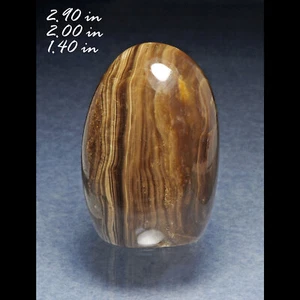 Stromatolite Fossil Alghe Freeform Cina Fossil Fossili Fossilizzato - Picture 1 of 1